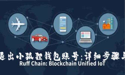 如何安全退出小狐狸钱包账号：详细步骤与注意事项
