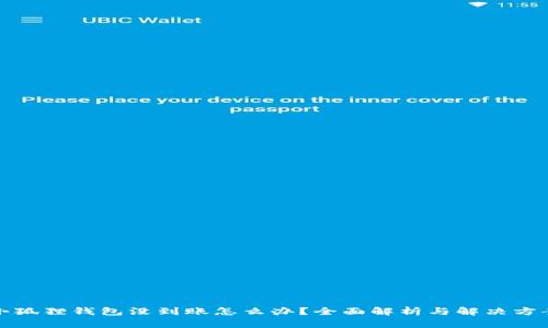 小狐狸钱包没到账怎么办？全面解析与解决方案