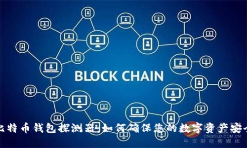 比特币钱包探测器：如何确保您的数字资产安全