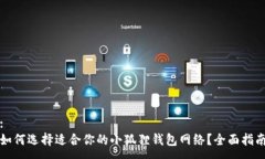 :如何选择适合你的小狐狸钱包网络？全面指南