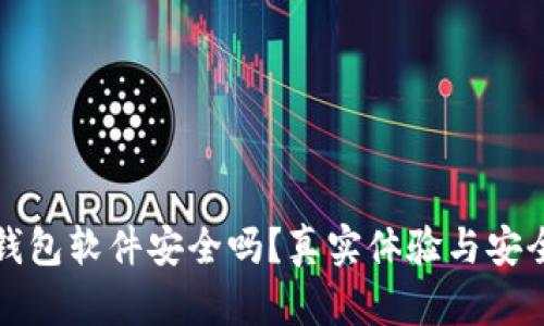 小狐狸钱包软件安全吗？真实体验与安全性分析