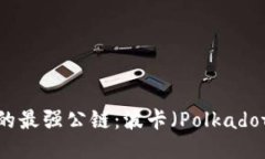 探索Web3时代的最强公链：波卡（Polkadot）的未来