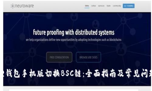 小狐狸钱包手机版切换BSC链：全面指南及常见问题解答