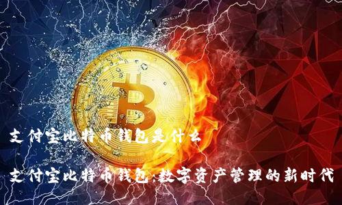 支付宝比特币钱包是什么

支付宝比特币钱包：数字资产管理的新时代
