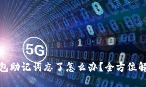 小狐狸钱包助记词忘了怎么办？全方位解答与建议