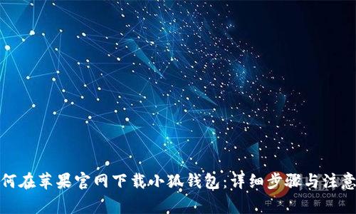 : 如何在苹果官网下载小狐钱包：详细步骤与注意事项