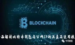 全面解析比特币钱包与公网IP的关系及使用技巧