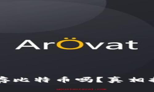 小狐狸钱包能存比特币吗？真相揭秘与使用指南