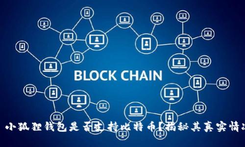 : 小狐狸钱包是否支持比特币？揭秘其真实情况