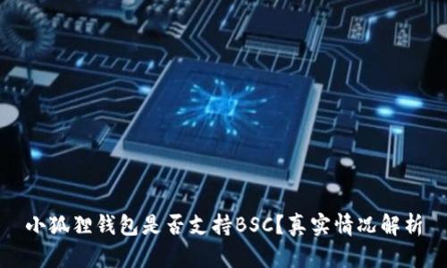 小狐狸钱包是否支持BSC？真实情况解析