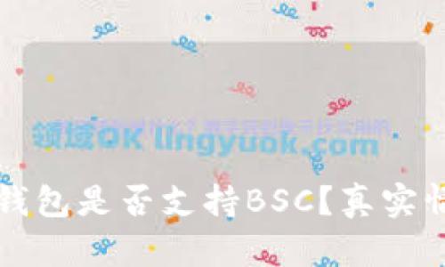 小狐狸钱包是否支持BSC？真实情况解析