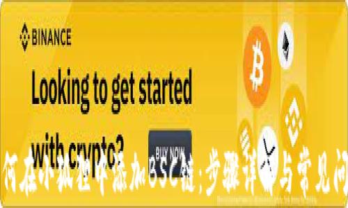 
如何在小狐狸中添加BSC链：步骤详解与常见问题