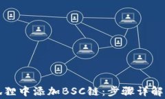 如何在小狐狸中添加BSC链：步骤详解与常见问题