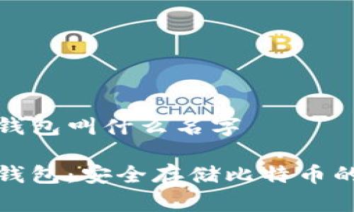 比特币冷钱包叫什么名字

比特币冷钱包：安全存储比特币的最佳选择