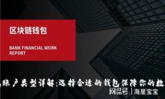 比特币钱包账户类型详解：选择合适的钱包保障