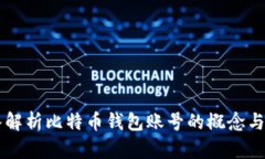 深入解析比特币钱包账号的概念与使用