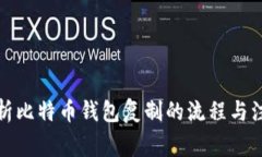 全面解析比特币钱包复制的流程与注意事项