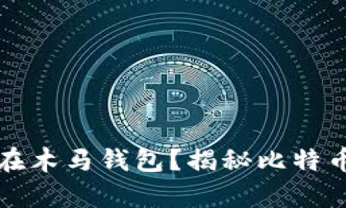 比特币是否存在木马钱包？揭秘比特币钱包的安全性