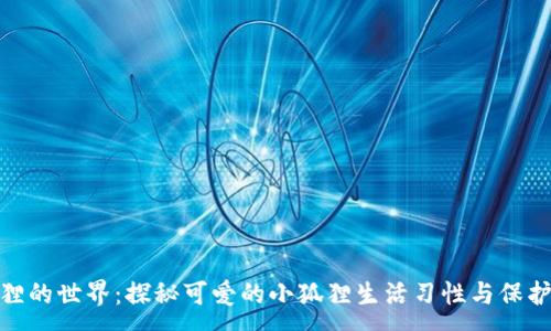 :
小狐狸的世界：探秘可爱的小狐狸生活习性与保护措施