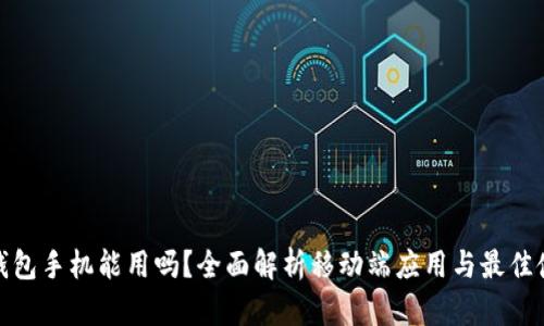 小狐狸钱包手机能用吗？全面解析移动端应用与最佳使用体验