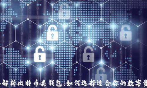 
2023年全面解析比特币类钱包：如何选择适合你的数字资产保护工具