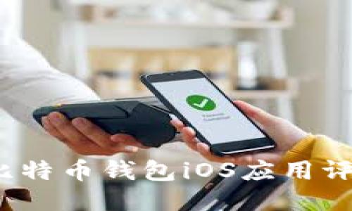 2018年最佳比特币钱包iOS应用评测与使用指南