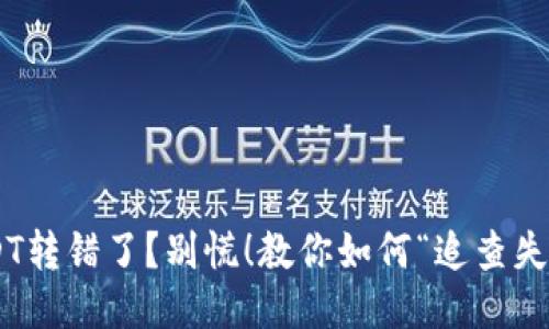 TP钱包USDT转错了？别慌！教你如何“追查失踪的USDT”