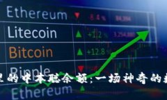 小狐狸钱包里的中本聪余额：一场神奇的数字寻