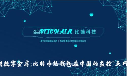 玩转数字金库：比特币热钱包在中国的监控“天网”下
