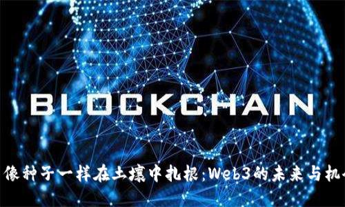 : 像种子一样在土壤中扎根：Web3的未来与机会