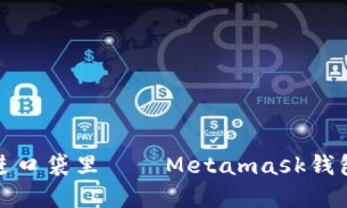 把你的数字资产装进口袋里——Metamask钱包中文官网下载指南