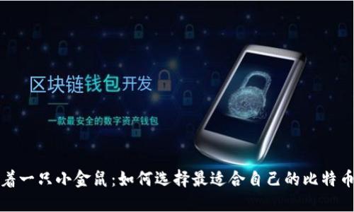 在掌中揣着一只小金鼠：如何选择最适合自己的比特币移动钱包