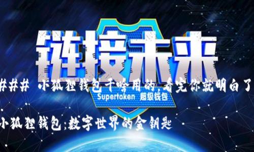 ### 小狐狸钱包干啥用的，看完你就明白了！

小狐狸钱包：数字世界的金钥匙