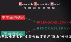 小狐狸钱包暗藏玄机：当你的数字资产“隐身”