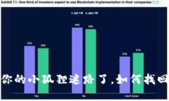 小狐狸钱包：当你的小狐狸迷路了，如何找回它