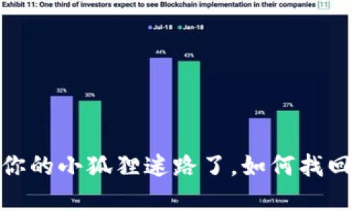 小狐狸钱包：当你的小狐狸迷路了，如何找回它的秘密花园？