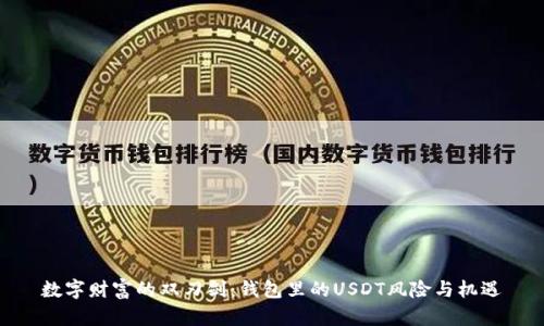 数字财富的双刃剑：钱包里的USDT风险与机遇
