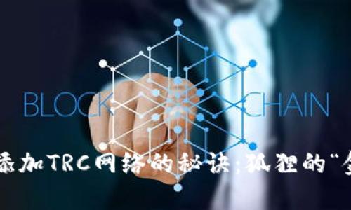 小狐狸钱包添加TRC网络的秘诀：狐狸的“金库”大冒险!
