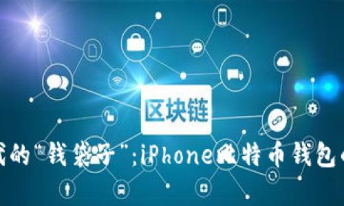 在数字时代的“钱袋子”：iPhone比特币钱包的奇妙旅程