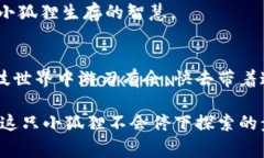   小狐狸钱包连接不上的背后故事：一个小狐狸的