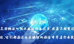   在MetaMask中添加比特币：数字钱包里的“外星人