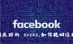 “当你的比特币钱包如同失踪的 socks，如何挽回