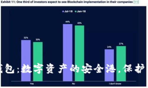 比特币种子钱包：数字资产的安全港，保护你的财富之船