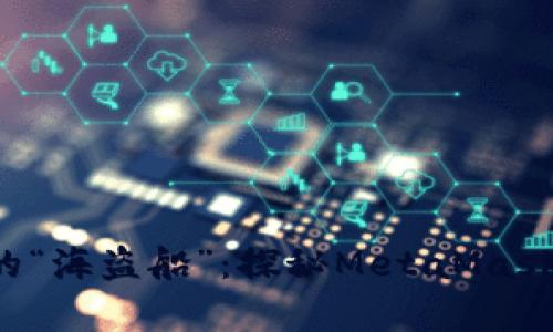 baraoti区块链中的“海盗船”：探秘MetaMask测试版的奇妙航程