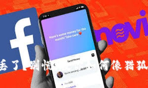 小狐狸钱包钱丢了？别慌，教你如何像猎狐般敏捷地找回！