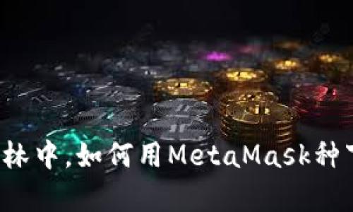 在区块链的奇幻森林中，如何用MetaMask种下比特币的“种子”？