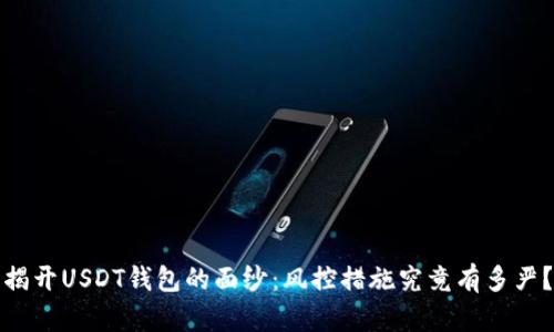 揭开USDT钱包的面纱：风控措施究竟有多严？