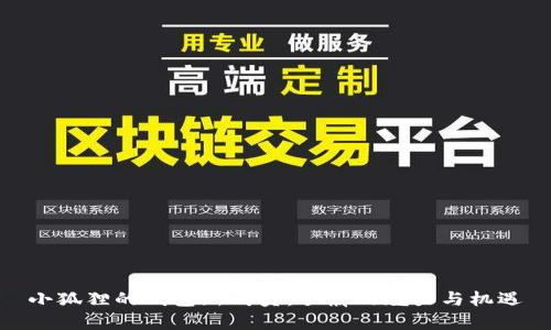 小狐狸的钱包新成员：雪崩的魅力与机遇