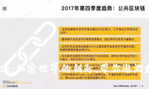 MetaMask：加密世界的钥匙，带你遨游数字大海！