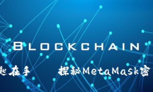 “心中有锁，钥匙在手——探秘MetaMask密钥存储的玄机”